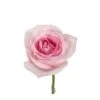 Bulk Rose - Light Pink - Minimum 40 Cm