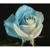 Ocean Wave Tinted Rose Blue & White 60cm