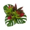 Tropical Bouquet Round Fire Mini, 30 Cm