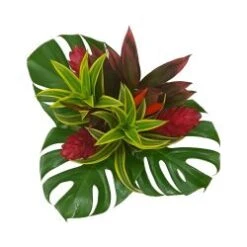Tropical Bouquet Round Fire Mini, 30 Cm